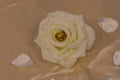 Nawal – Bague Feuillage Royal